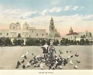  Feeding the pigeons 