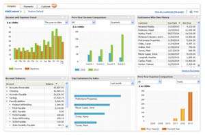 QuickBooks Pro Company Snapshot