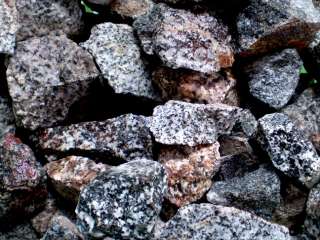 Dalmation Jasper Rock Tumbler Rocks 1lb Lapidary Gems  