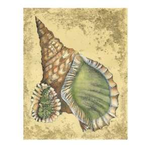  Sand and Shells I Premium Giclee Poster Print, 12x16