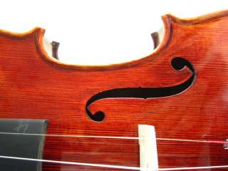 Sp. Birdseye Maple Violin. Powerful Clear Tone #1759  Platinum 