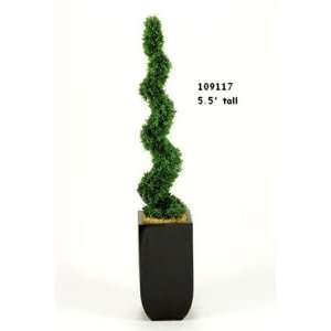  5.5 Spiral Tea Leaf Topiary in Square Metal Planter