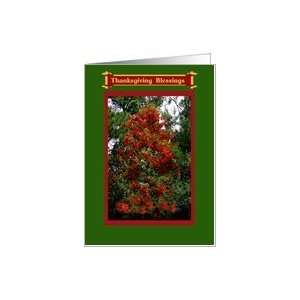  Thanksgiving Blessings Colorful Fall leaves Greeting Card 
