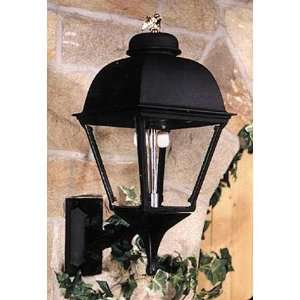   Natural Gas Light With Open Flame Burner And Standard Wall Mount Home